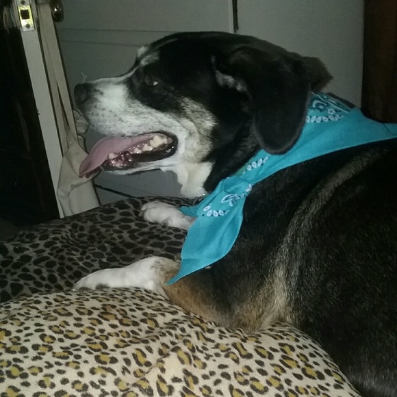 Meet your Posher, Joni - Picture 2 of 2